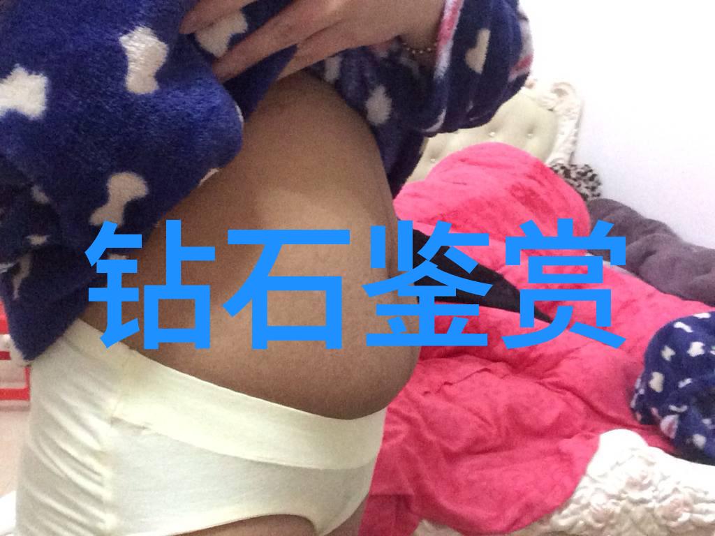 石涛荷花图鉴赏